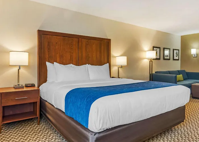 Comfort Inn & Suites Near Route 66